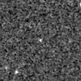 2019pbs_image