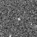 2019pda_image