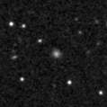 2019pdl_image