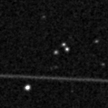 2019pec_image