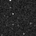 2019pef_image