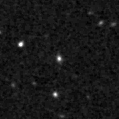 2019pfj_image