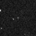 2019pfo_image