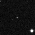 2019pfp_image