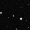 2019pfz_image