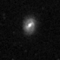 2019pig_image