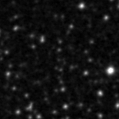 2019pii_image