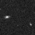 2019pjg_image