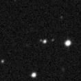 2019pjn_image