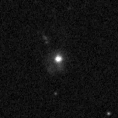 2019pkj_image