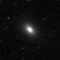 2019pkm_image