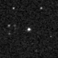 2019pkv_image