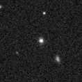 2019pkw_image