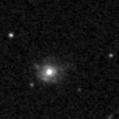 2019ply_image
