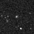 2019pno_image