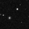 2019pod_image