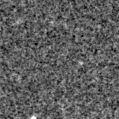 2019pok_image
