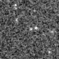 2019pol_image