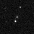2019ppa_image