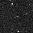 2019ppi_image