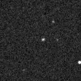 2019pps_image