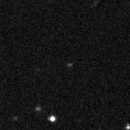2019prg_image