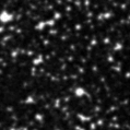 2019prq_image