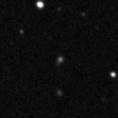 2019ptn_image