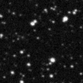 2019pty_image