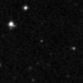 2019pup_image