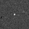 2019pur_image