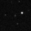 2019pyp_image