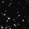 2019pzq_image
