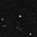 2019pzt_image