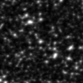 2019qaq_image