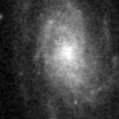 2019qar_image