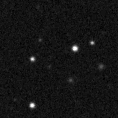 2019qau_image