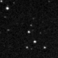 2019qcd_image