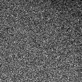 2019qcg_image