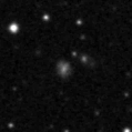 2019qdq_image