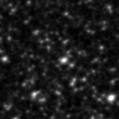2019qea_image