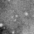 2019qef_image
