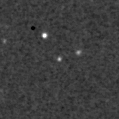 2019qei_image
