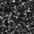 2019qeq_image