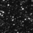 2019qer_image
