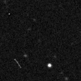 2019qfs_image