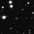 2019qhq_image