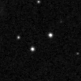 2019qim_image
