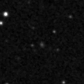 2019qin_image