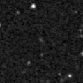 2019qjr_image